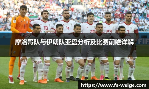 IM电竞官方网站